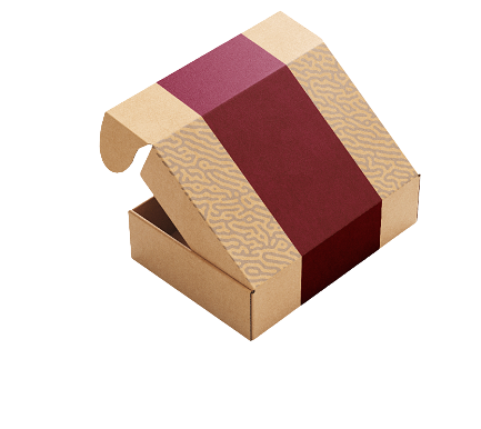 1238-sanstitre-removebg-pr5eview.png