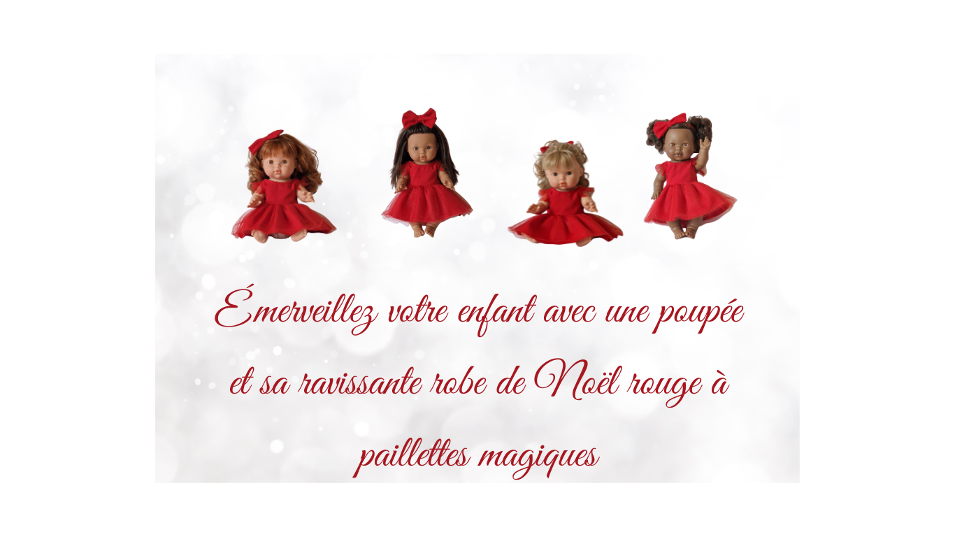 2234-la-box-speciale-de-noel-16-17317786235606.png