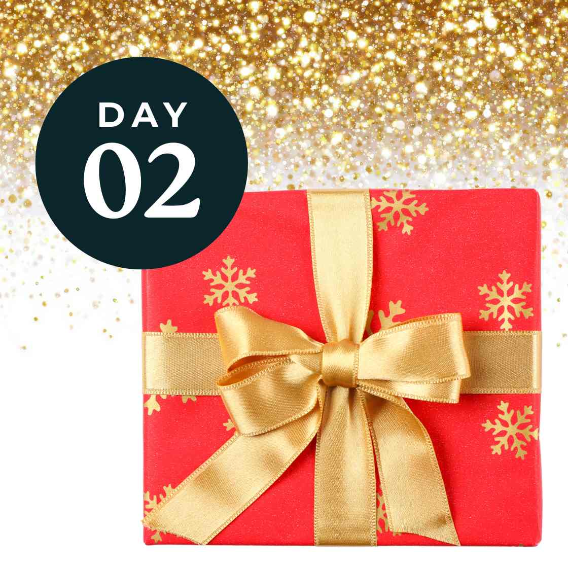 Day 2- Opening Dec 2nd