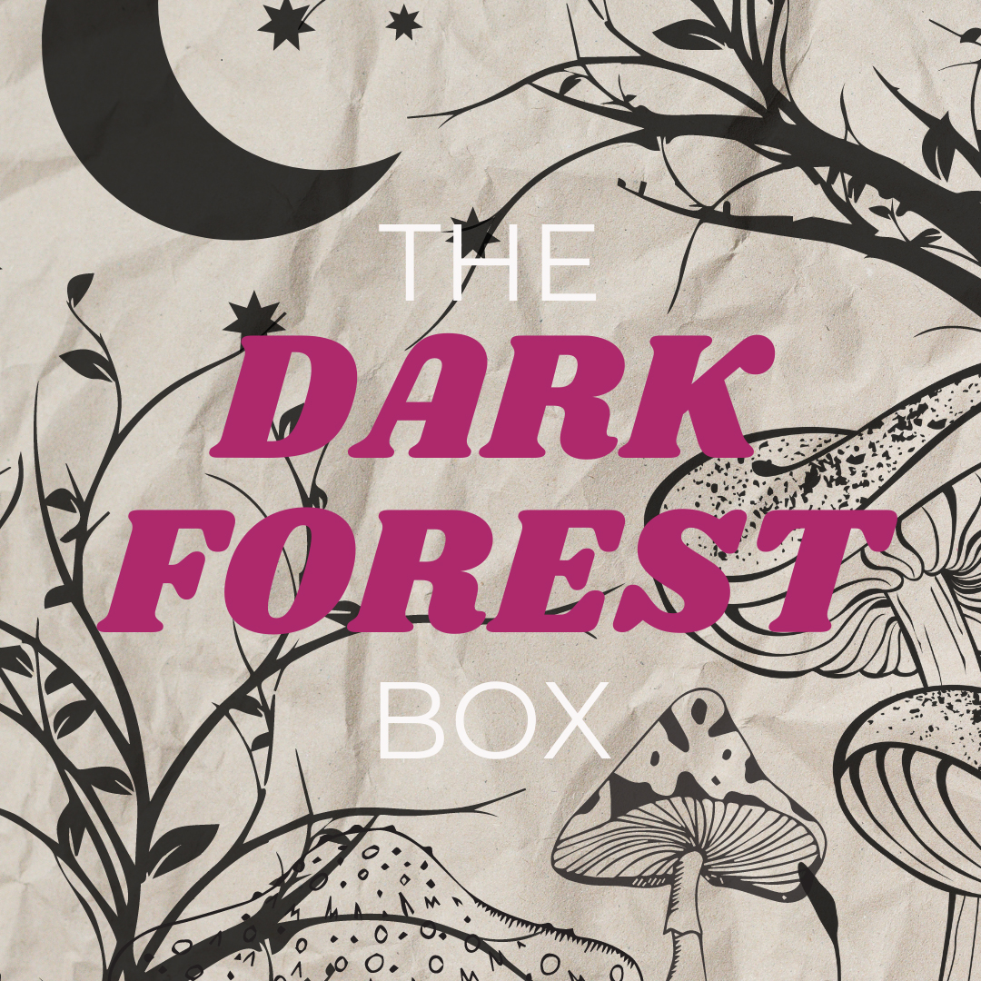 198-dark-forest-4-copy.jpg