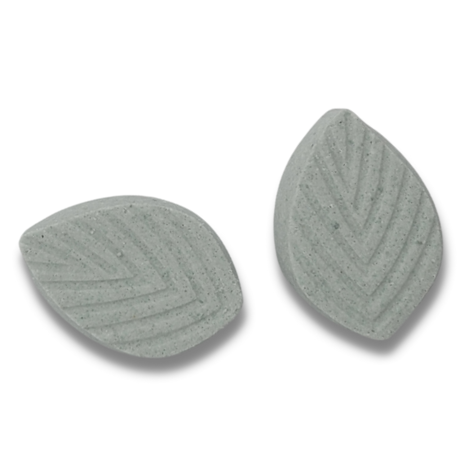 Eucalyptus and Mint Shower Steamers