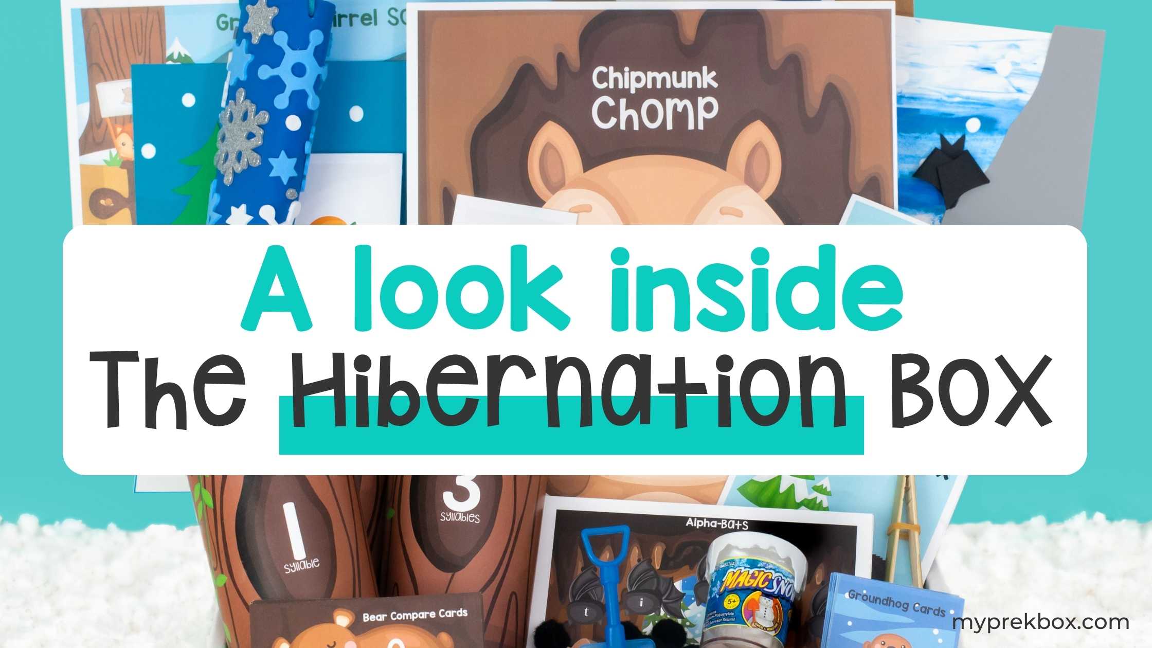 A Look Inside The Hibernation Box