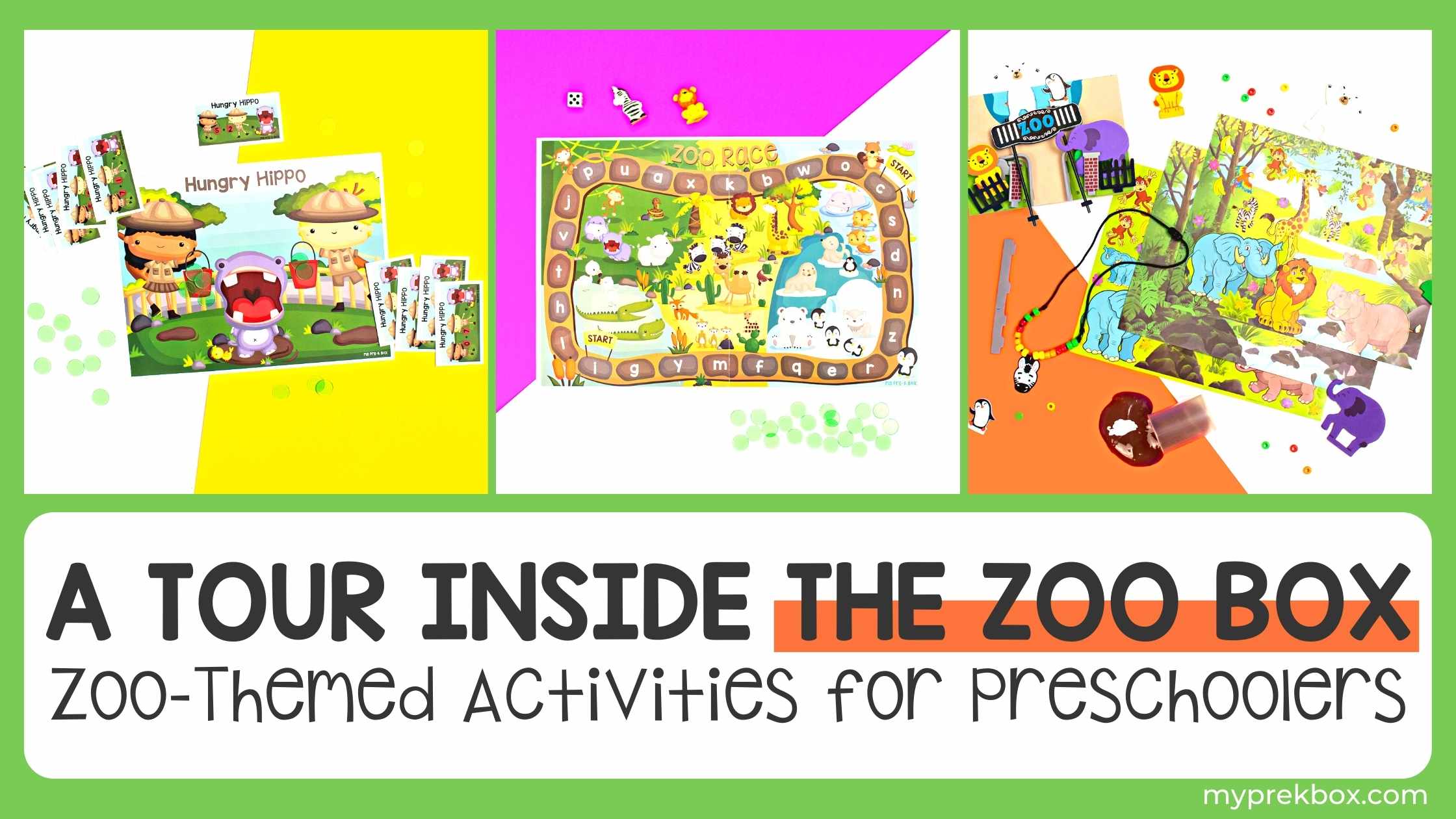 An Exciting Tour Inside The Zoo Box