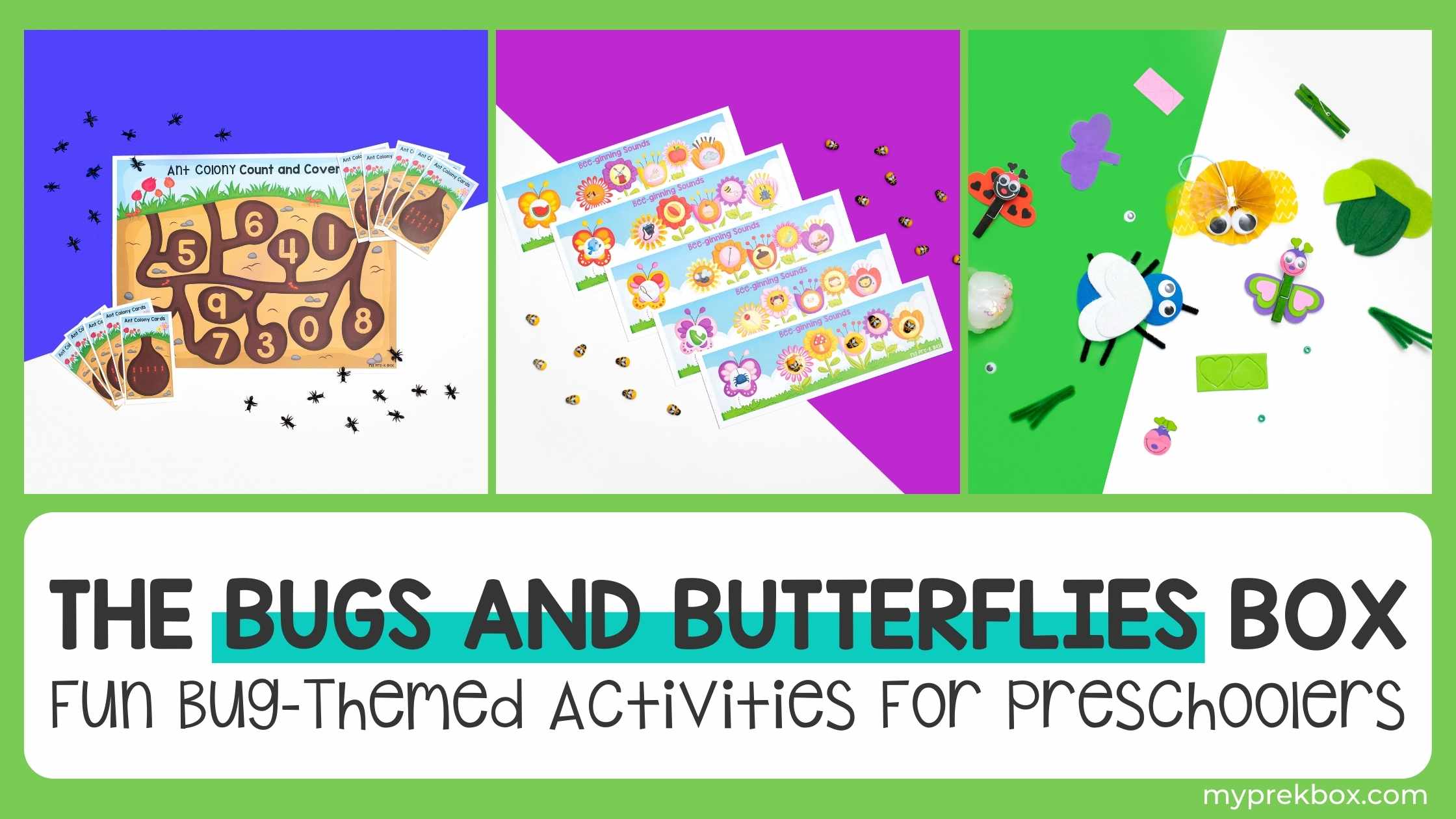 The Bugs & Butterflies Box