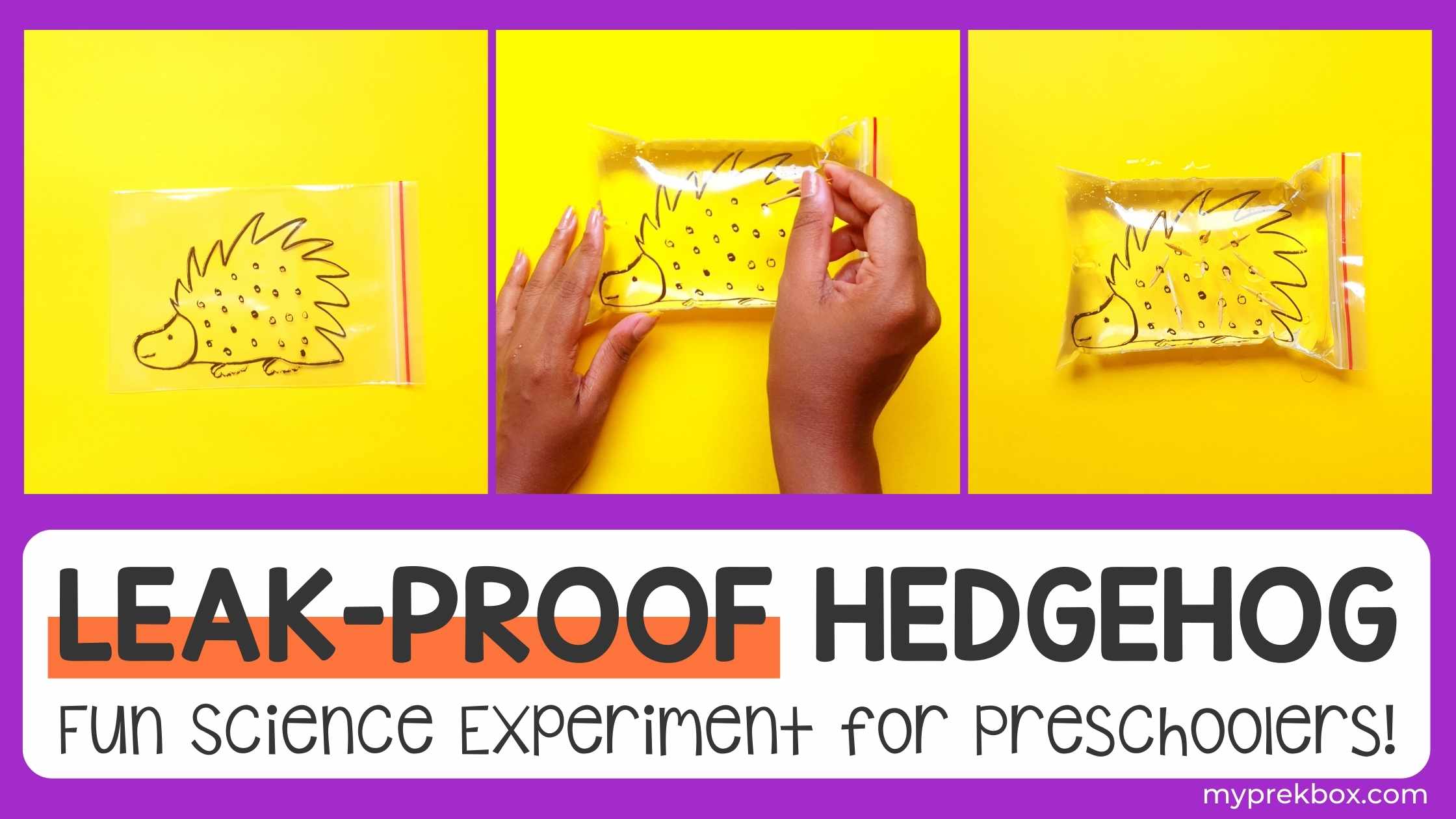 Leak-proof Hedgehog Science Experiment