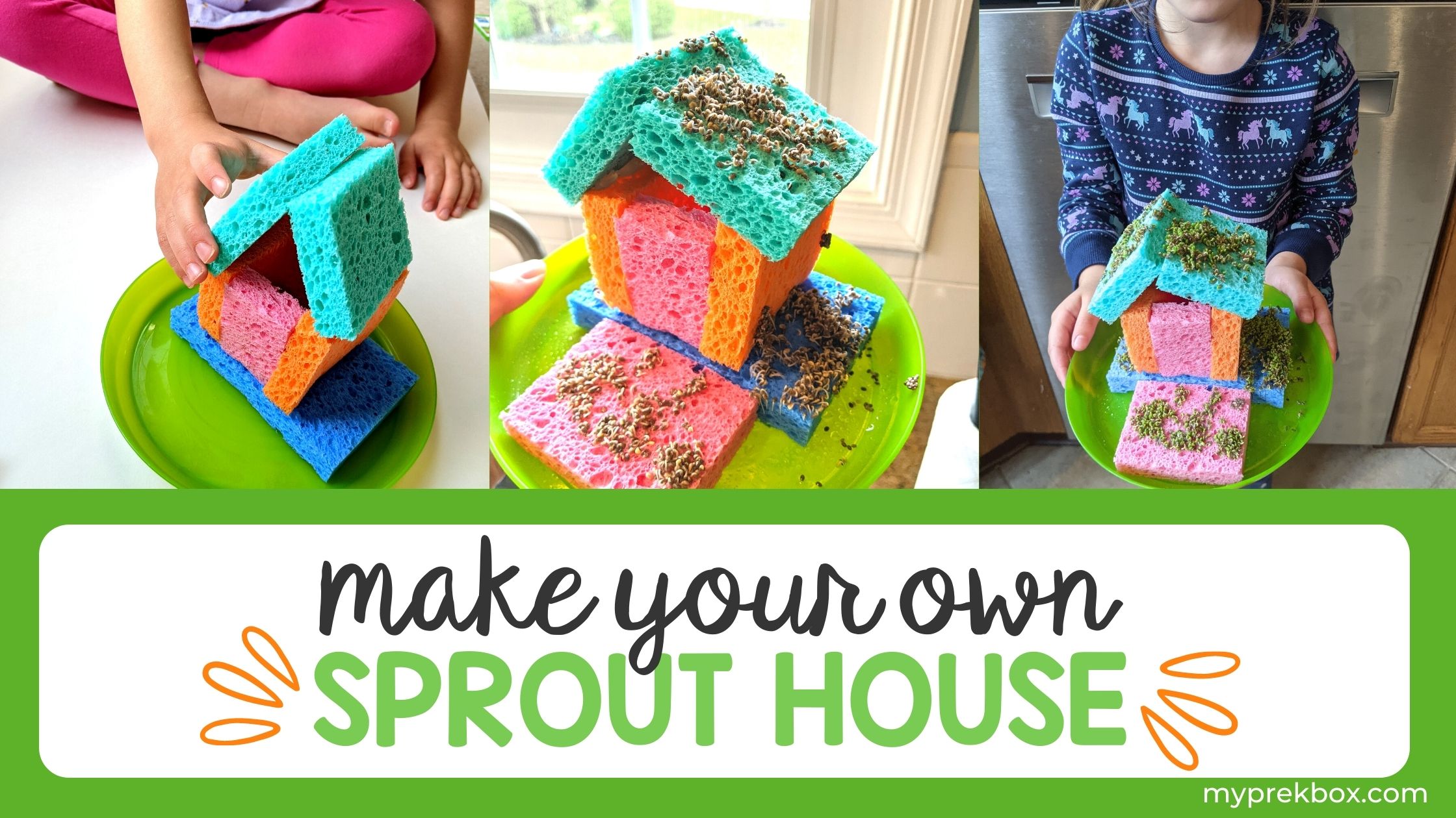 Grow a Sprout House with Your Preschooler
