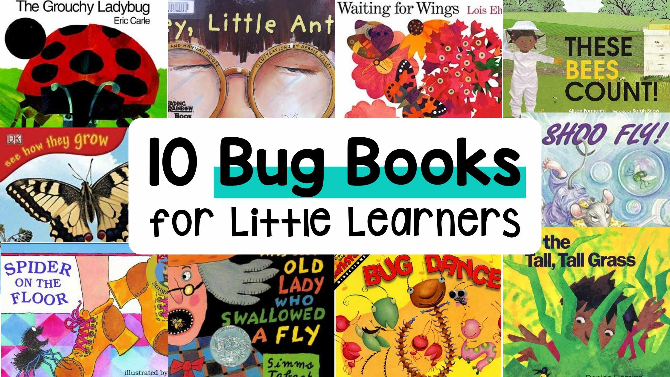 10 Bug Books for Little Learners
