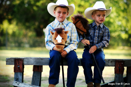 DIY stick horse for cowboy theme