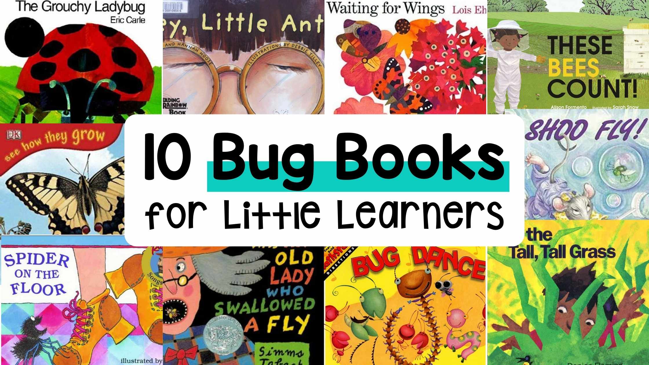 bug books for kids