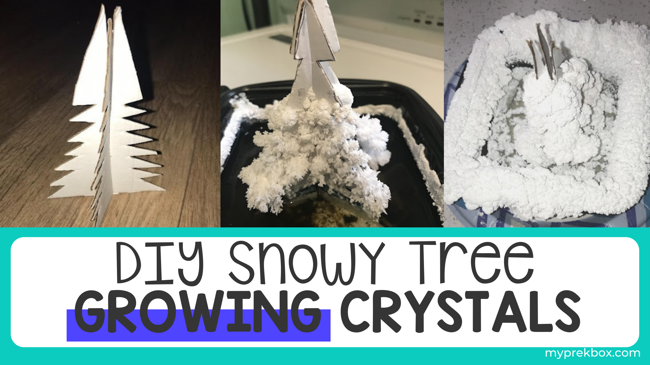 making a snow tree for kids