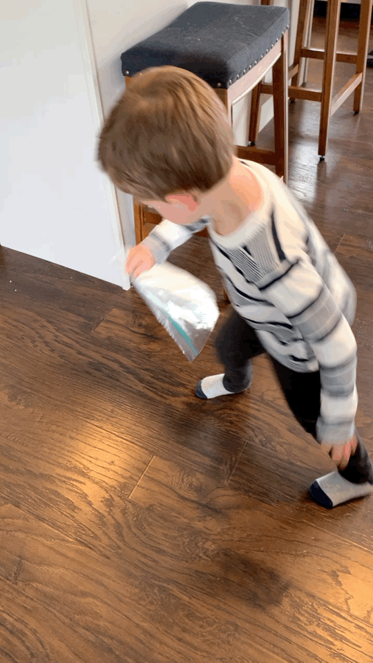 Boy shaking up bag of ice cream for ice cream in a bag science experiment for kids