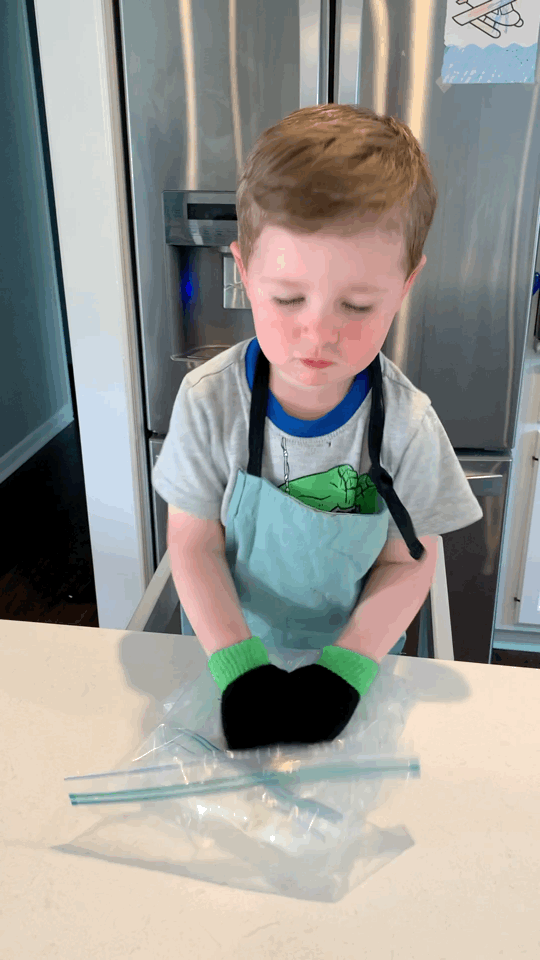 Preschool boy shaing up ice in ice cream in a bag experiment