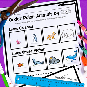 order by size activities for preschoolers