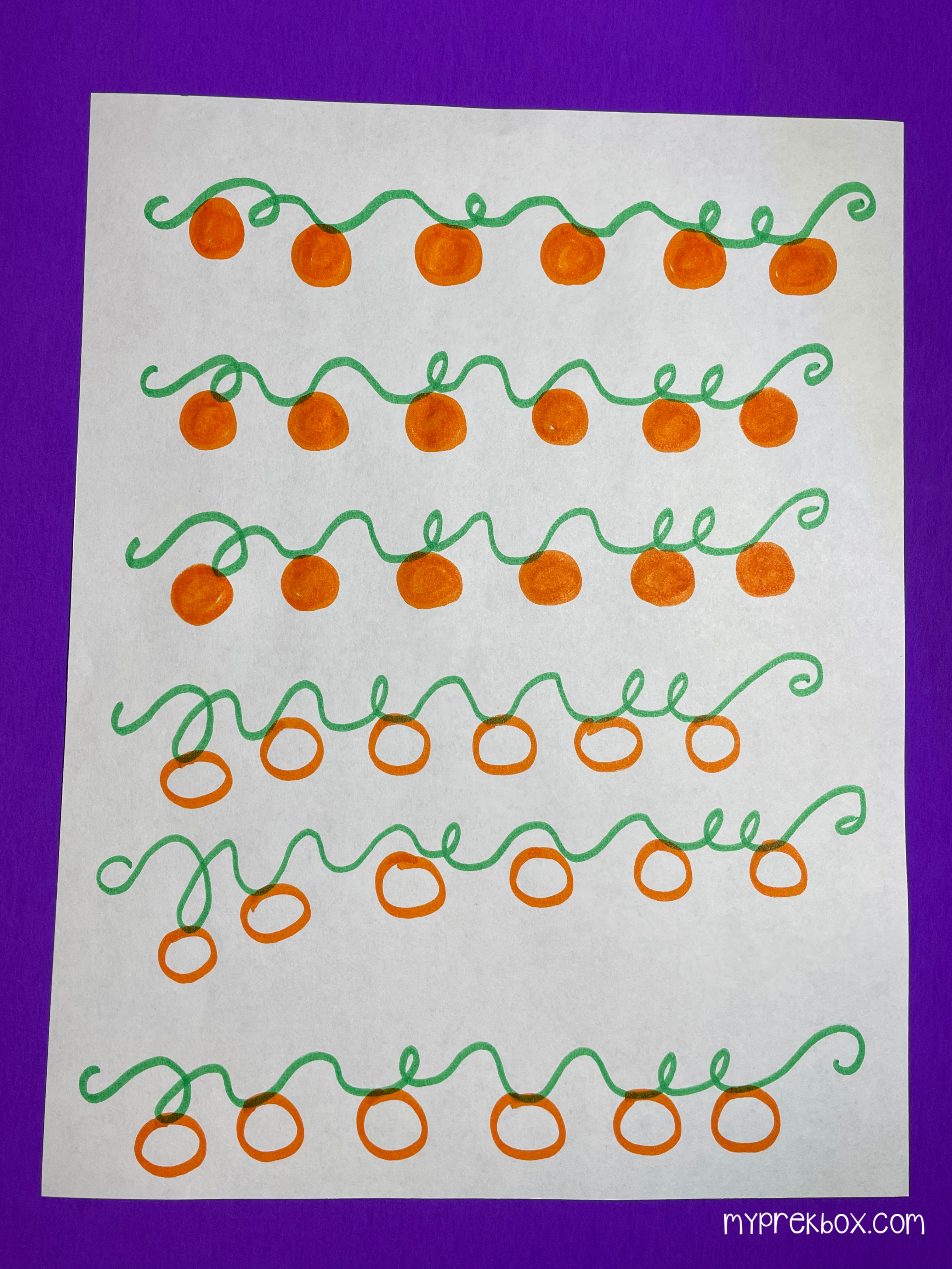 pumpkins on a vine in the process of being drawn