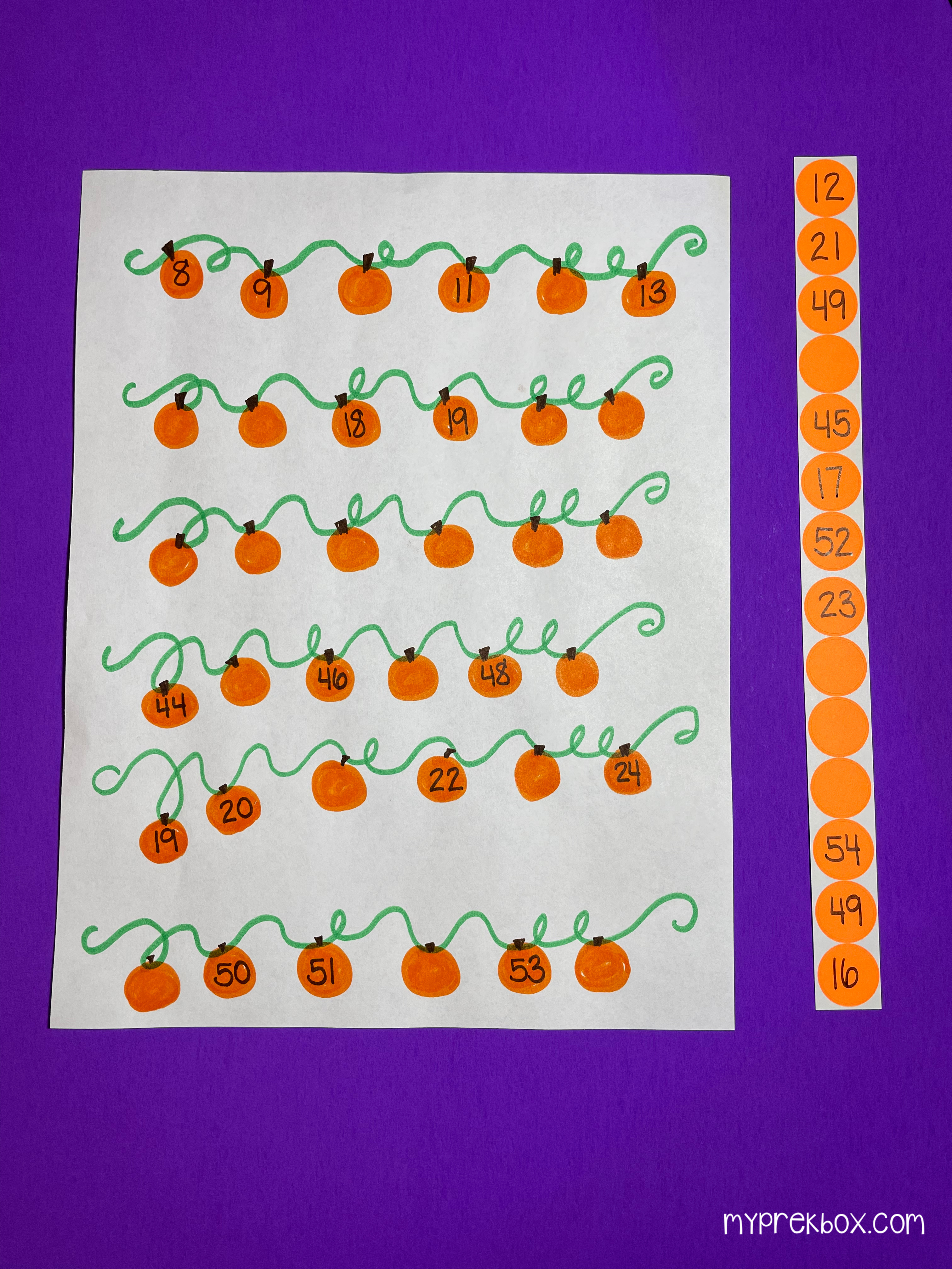 pumpkins on a vine with numbered stickers