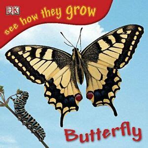 bug themed books for preschoolers