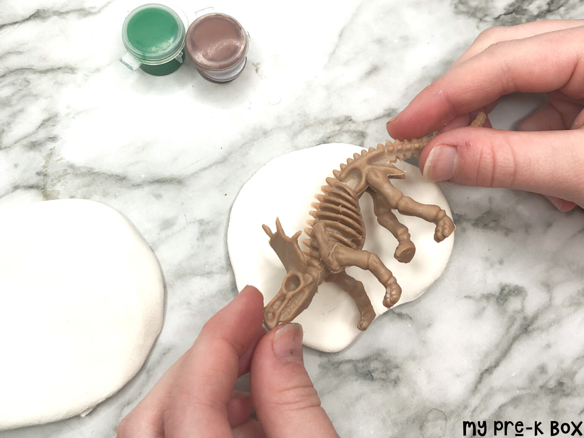 Make a Fossil Craft