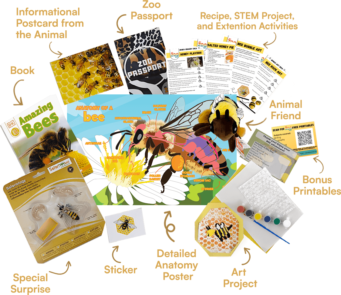 2397-bee-export-peekinside-opt-16896473019365.png
