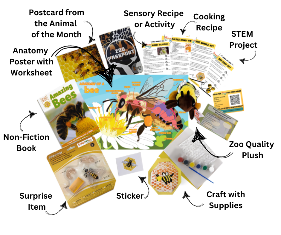 4311-bee-17020038241019.png