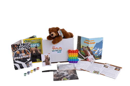 4406-bear-myzoobox-optv1-16911884119633.png