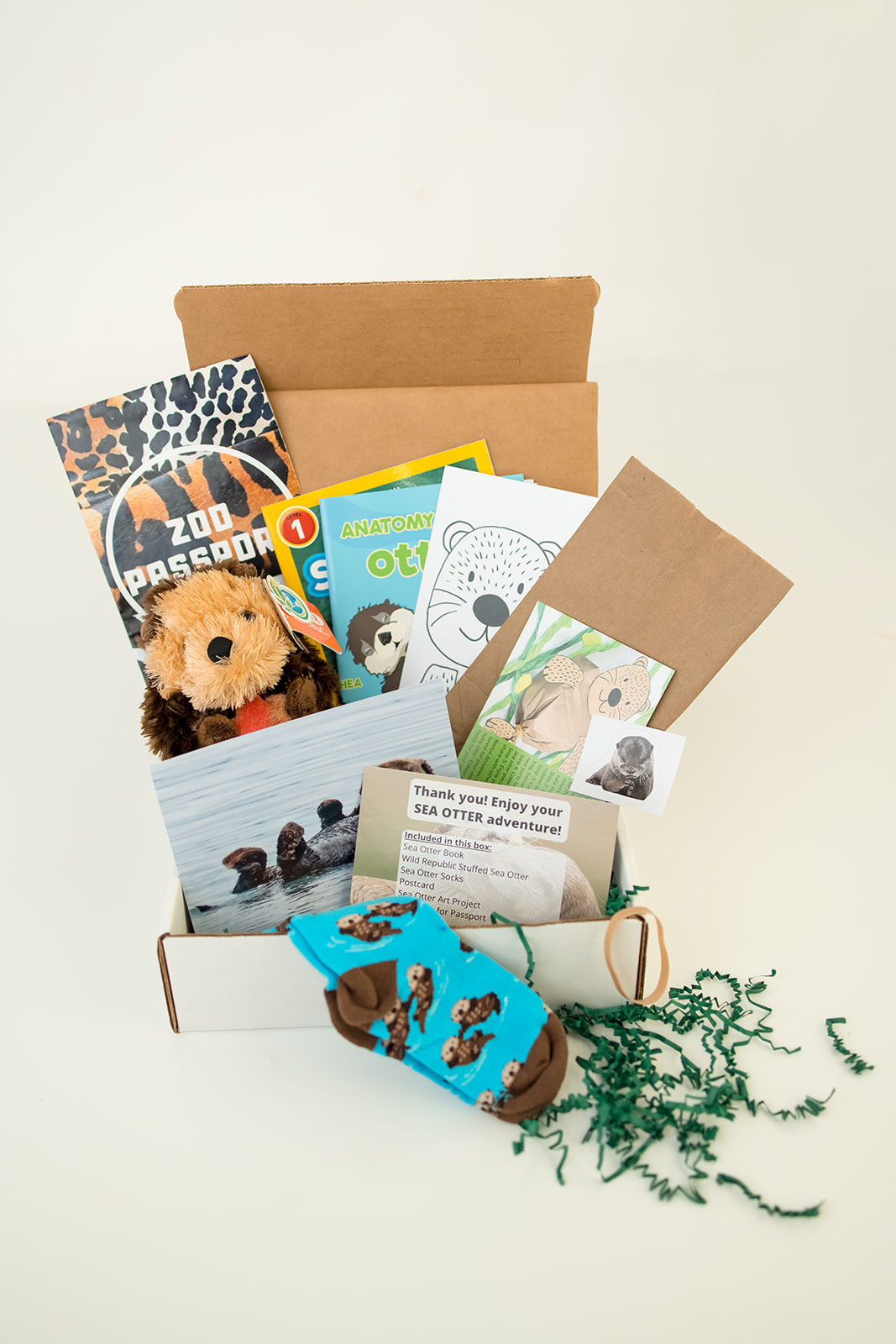 189-otter-16206679536949.jpg