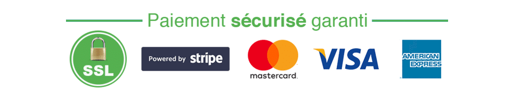 3319-paiement-securise-garantie1060x-1.png