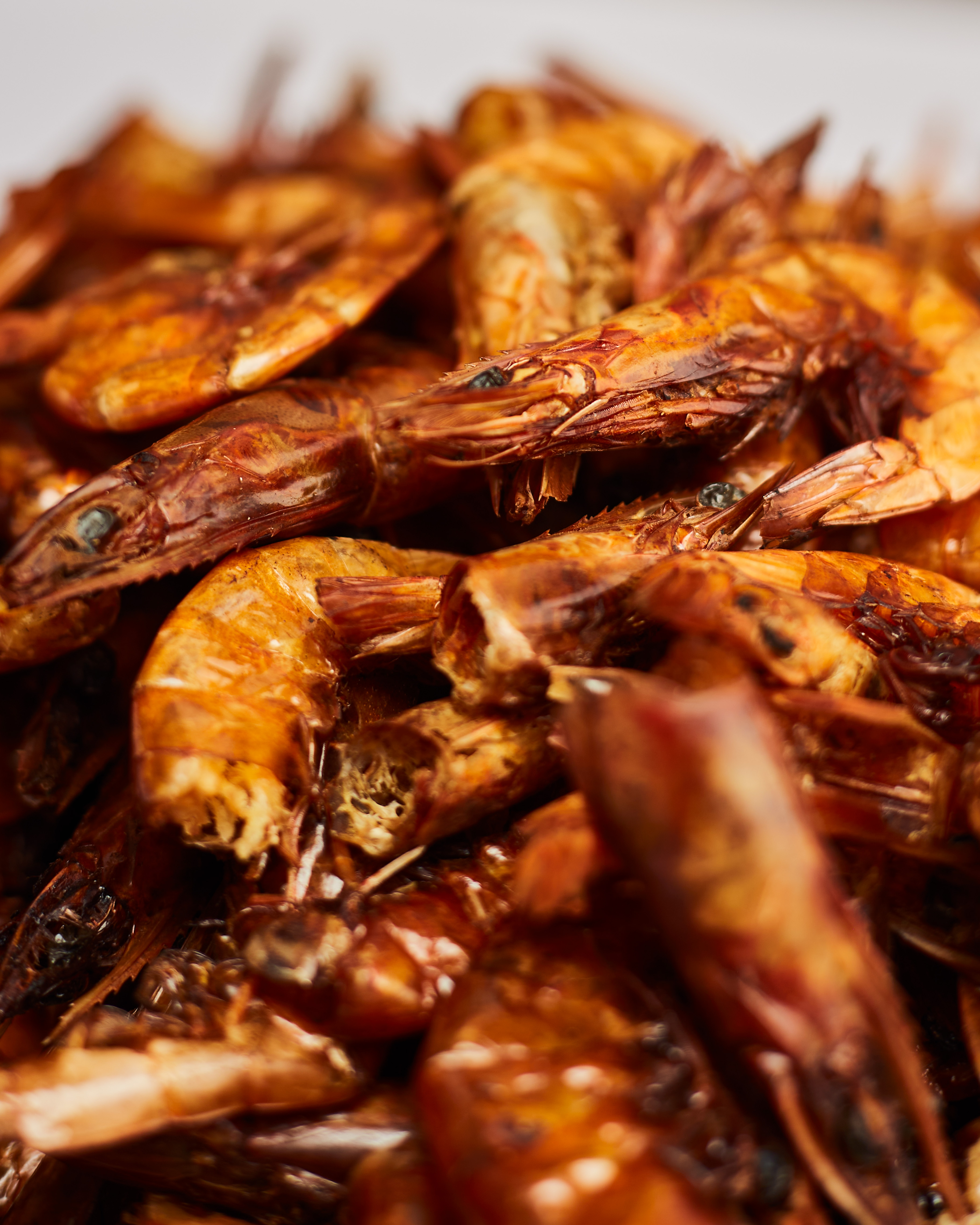 568-prawns3-1707548980547.jpg