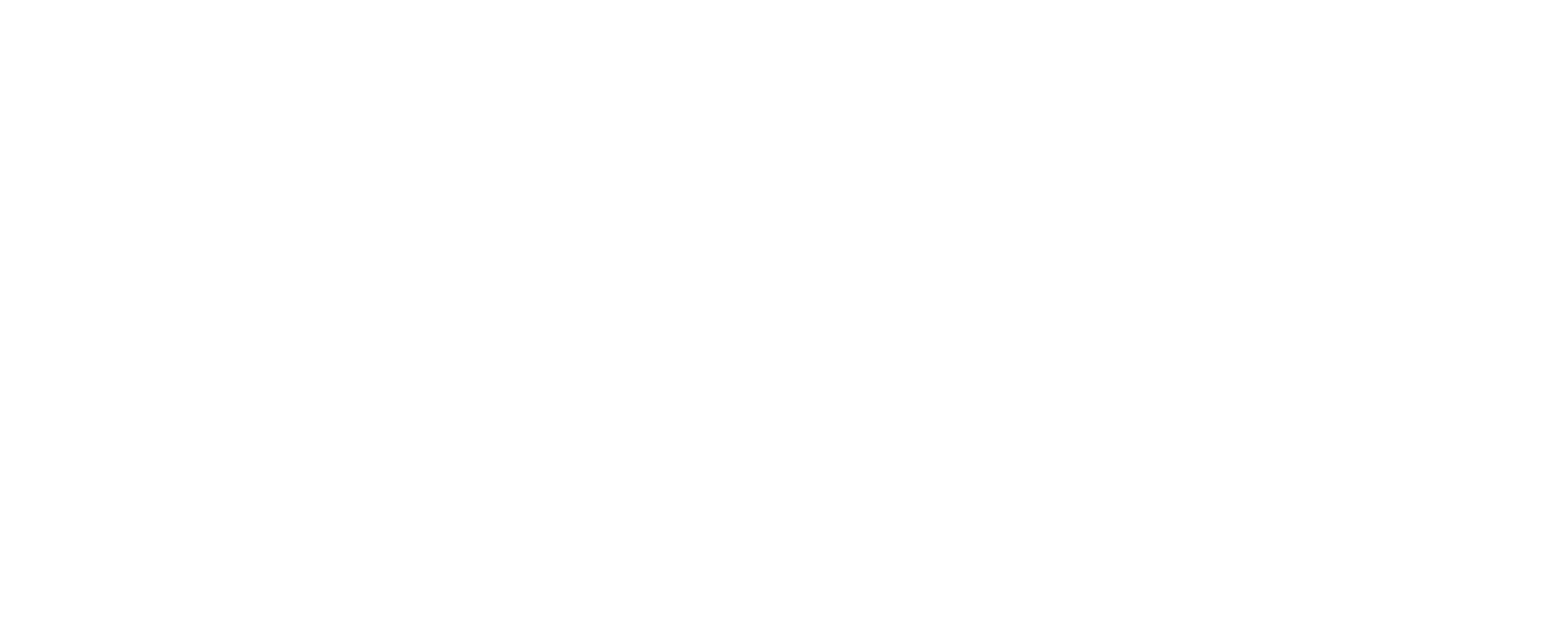 084333751371128-nm-logo-2-17071613921602.png