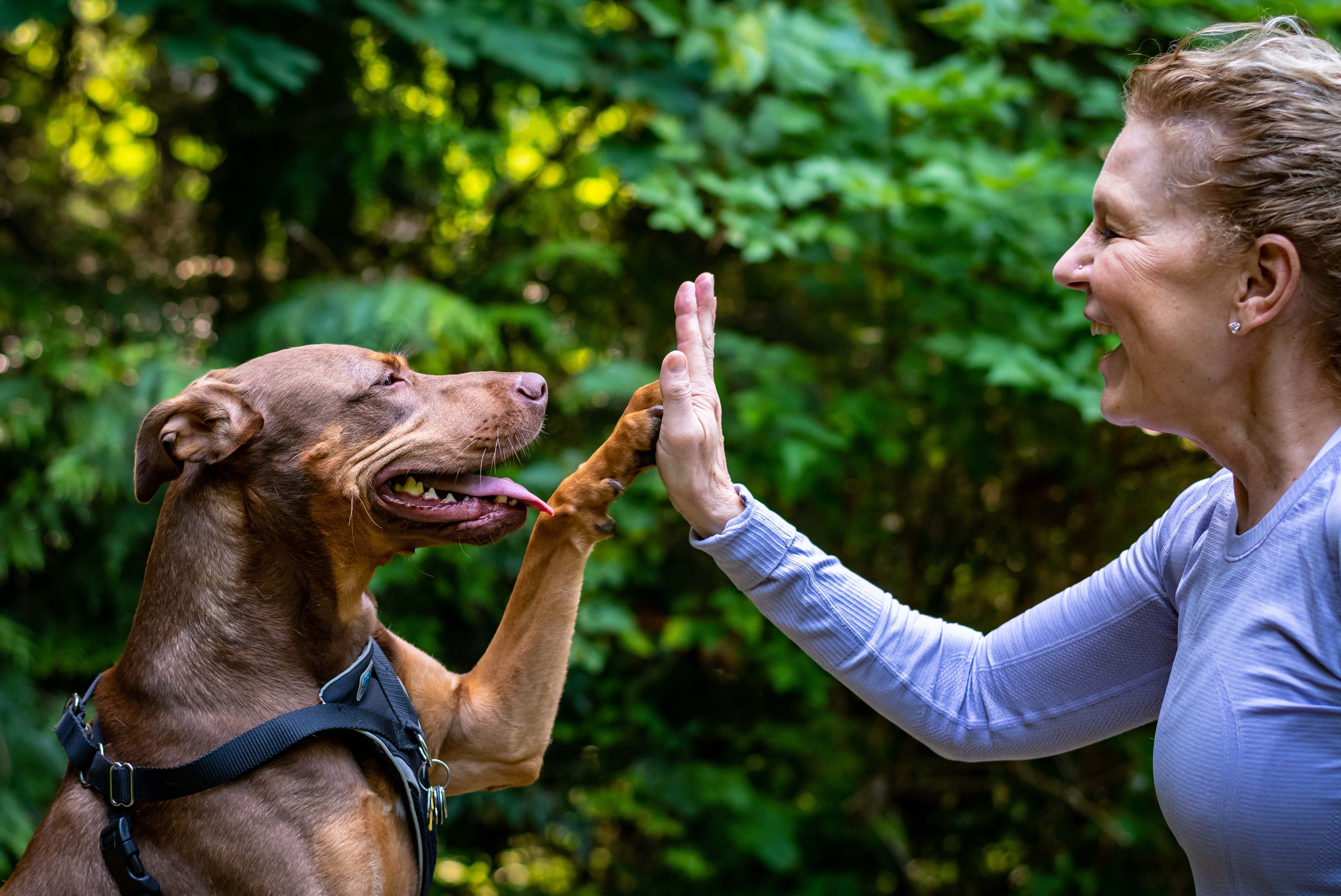 00555637123281-woman-dog-high-five.jpg