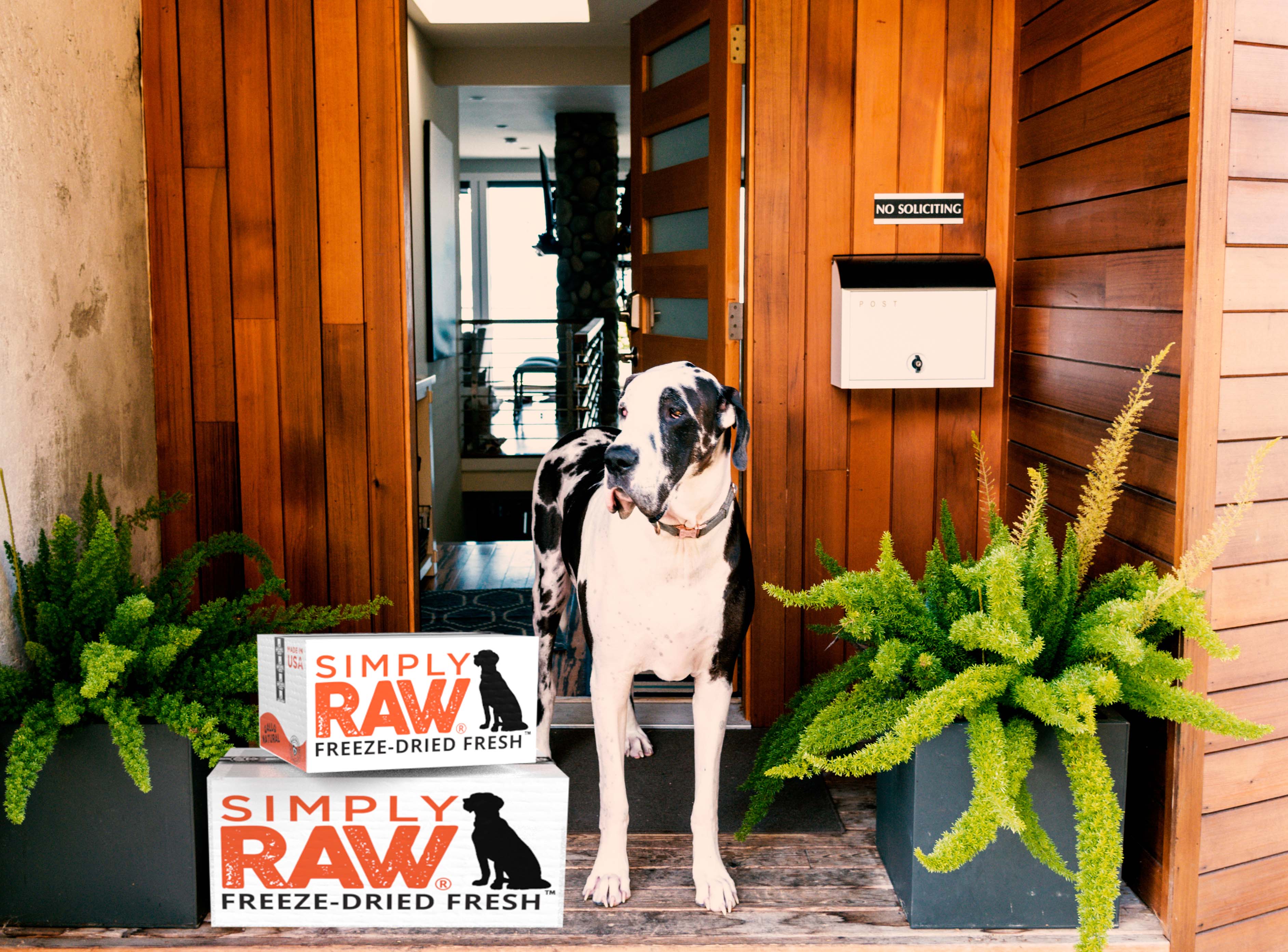 1737-big-dog-door.jpg