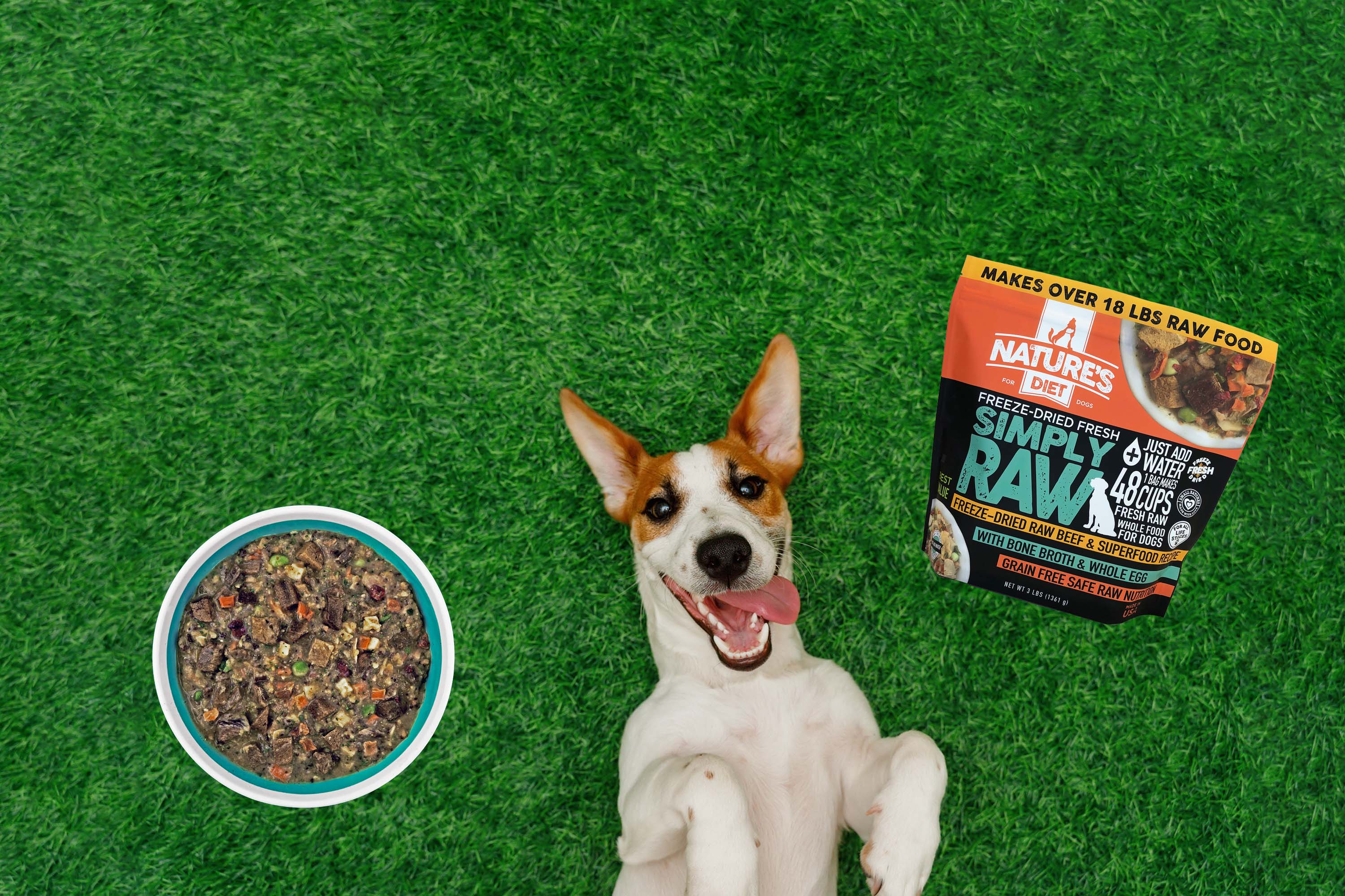 Simply Raw Meals Raw Dog Food Subscription Simply Raw Meals By Nature