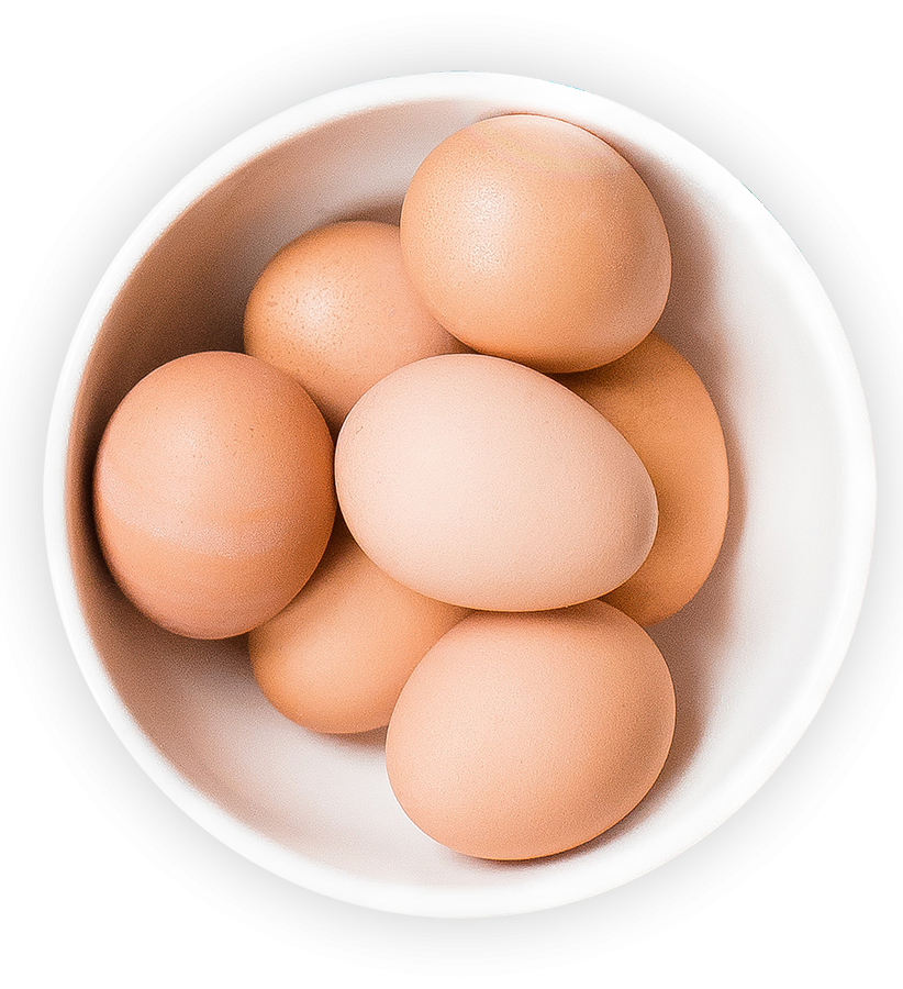 3608229001565-egg-bowl-transparent-png.png