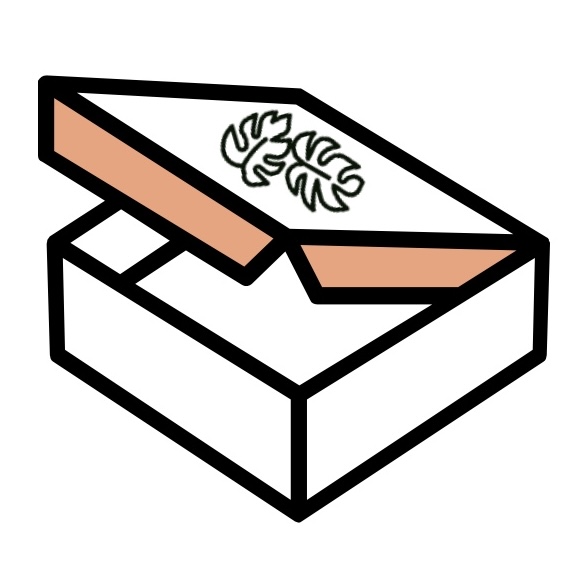 Illustrated open box with a coral lid and two Monstera leaves on top