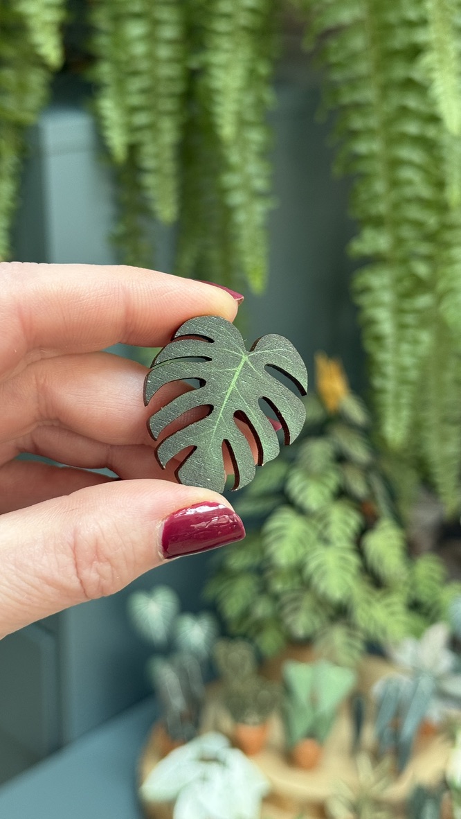 Green Monstera 1454-05a44c3b-1a60-4a47-9d35-bb5ffa4e35e61105c-17430872604797.jpeg