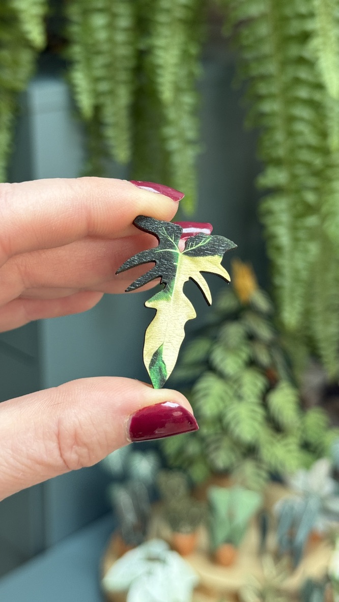 Philodendron Golden Dragon 1455-73a2be84-ff73-4eaf-8c0d-dd6dee1c7dfa1105c-17430872605492.jpeg