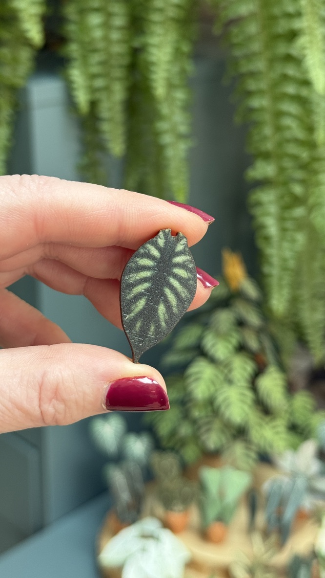 Alocasia Dragon Scale 1456-c54ab0e8-1d7e-47d9-b2ac-c8eda78319561105c-1743087260299.jpeg