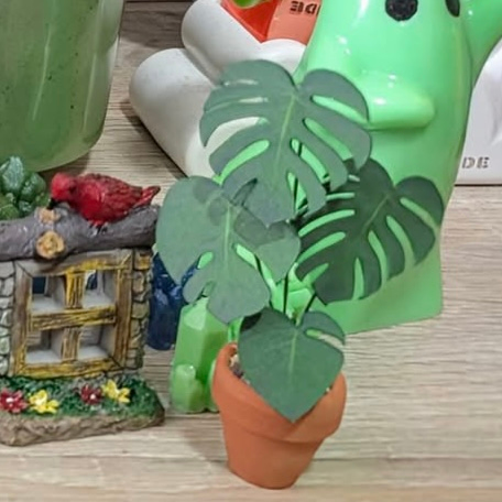 1496-img0620-17460795027304.jpeg