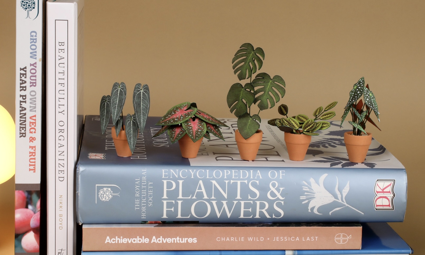 Nicole, Plant lover 1744-nicolesjunglemainvidwidescreen-0-00-22-15-5-17505890133376.jpg