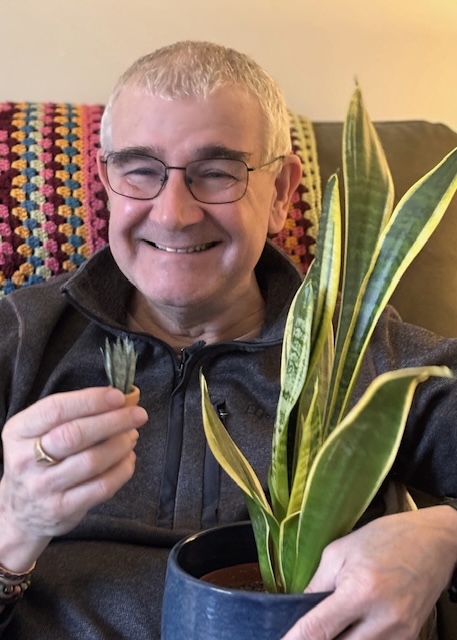 Miniature Sansevieria snake plant from Nicole’s Jungle kit Smiling man holding a miniature handmade paper Sansevieria snake plant next to a full-sized version