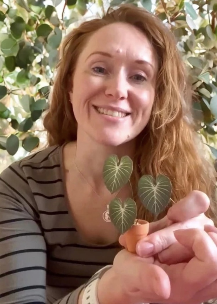 Miniature paper Philodendron Gloriosum from Nicole’s Jungle kit Smiling woman holding a tiny handmade paper Philodendron Gloriosum plant with velvety heart-shaped leaves