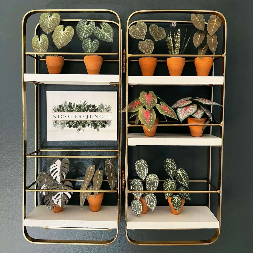 Miniature paper plant display on wall shelves Gold-framed wall shelves filled with miniature handmade paper plants in terracotta pots, with a framed Nicole’s Jungle logo in the centre
