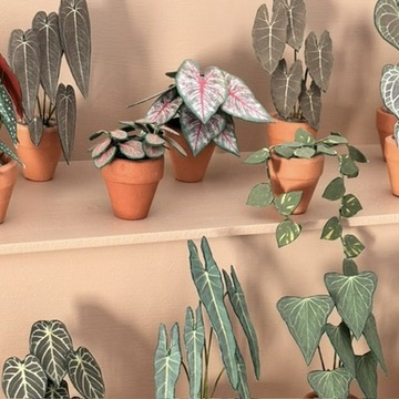 Mini paper plant shelf display on peach wall Miniature handmade paper plants in terracotta pots arranged on staggered peach-coloured shelves