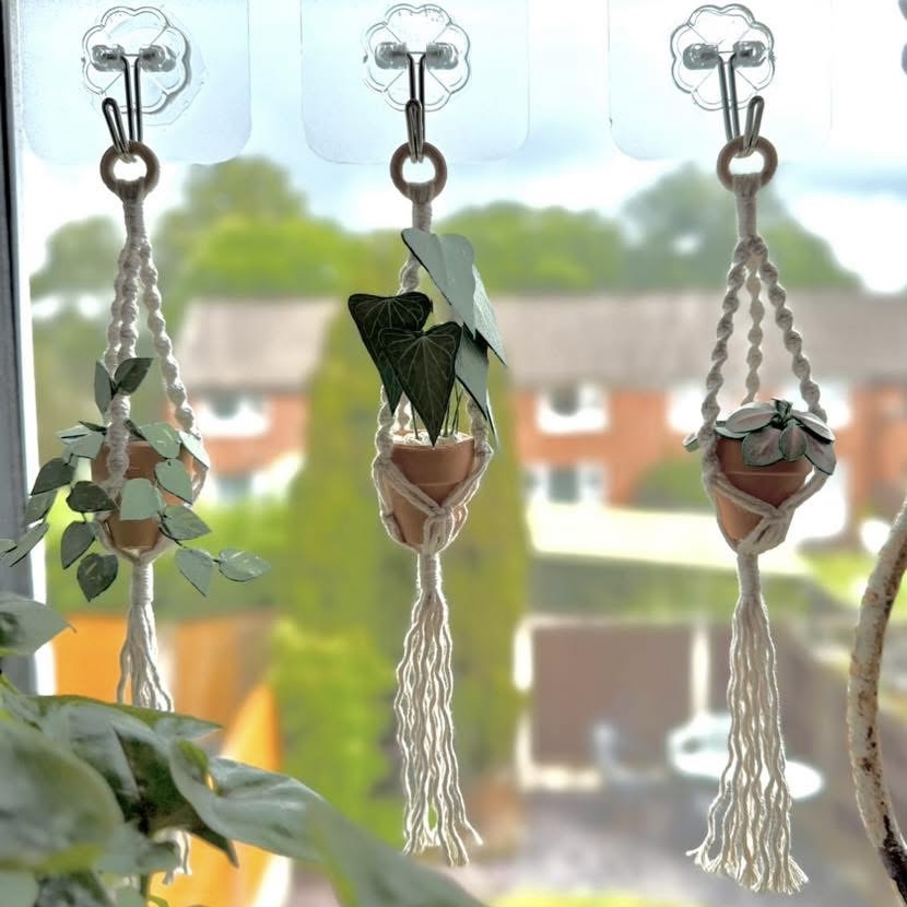 Mini macramé hanging paper plants Miniature handmade paper plants in terracotta pots hanging in tiny macramé holders on a window