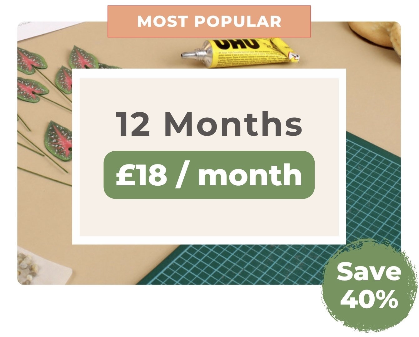 Promotional graphic for Nicole’s Jungle 12-month subscription plan, labelled ‘Most Popular,’ with price £18 per month and a green sticker saying ‘Save 40%.’