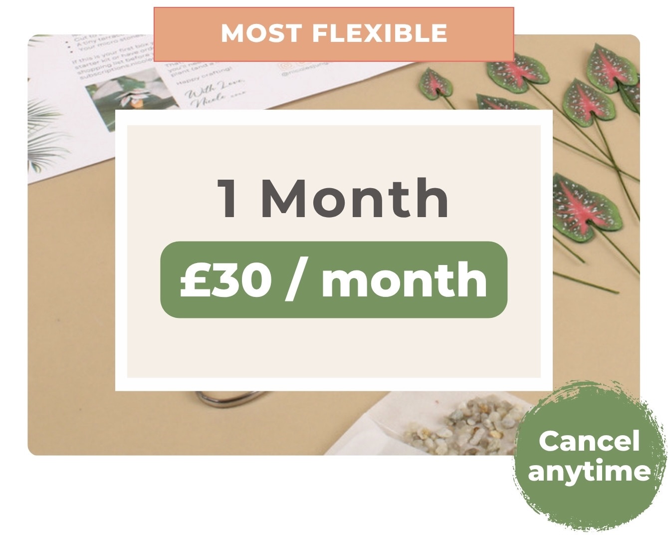 Nicole’s Jungle 1-month subscription plan graphic showing £30 per month with a green badge that reads ‘Cancel anytime.’ Background includes paper plant cuttings, a leaflet, and crafting materials on a neutral surface.