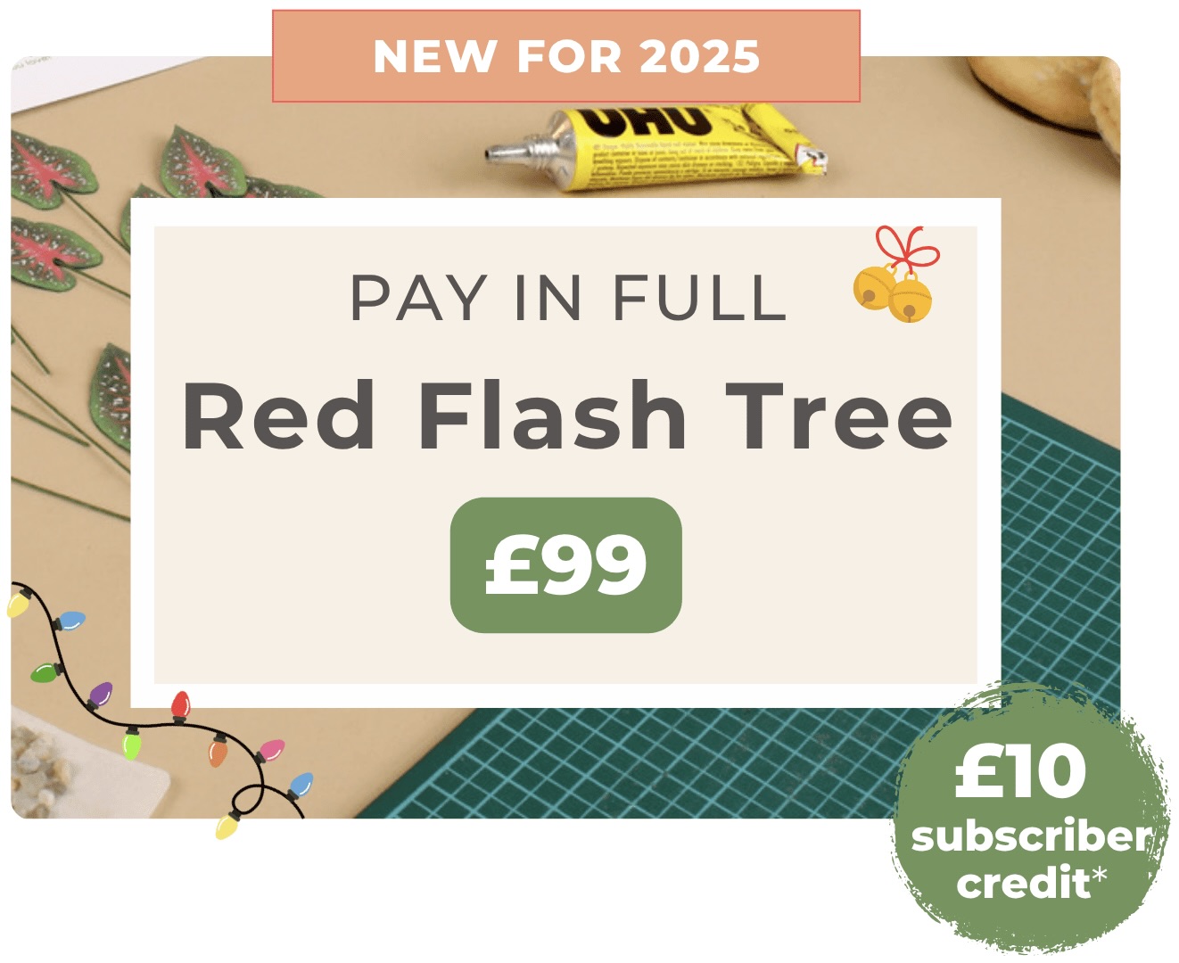 Promotional graphic for Nicole’s Jungle 12-month subscription plan, labelled ‘Most Popular,’ with price £18 per month and a green sticker saying ‘Save 40%.’