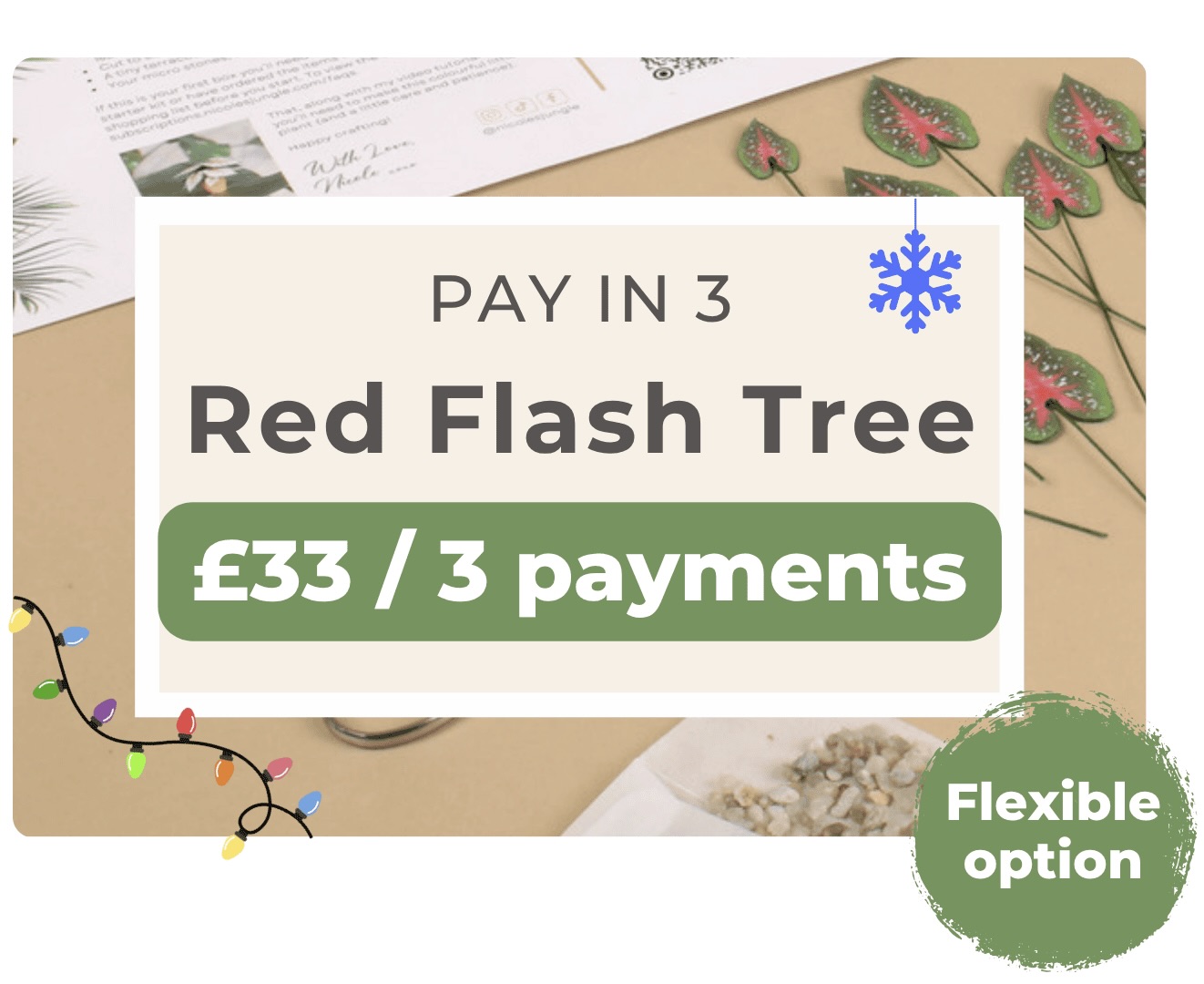 Nicole’s Jungle 1-month subscription plan graphic showing £30 per month with a green badge that reads ‘Cancel anytime.’ Background includes paper plant cuttings, a leaflet, and crafting materials on a neutral surface.