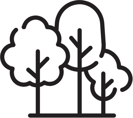 Sustainability icon – three trees Black line icon of three stylised trees of varying sizes