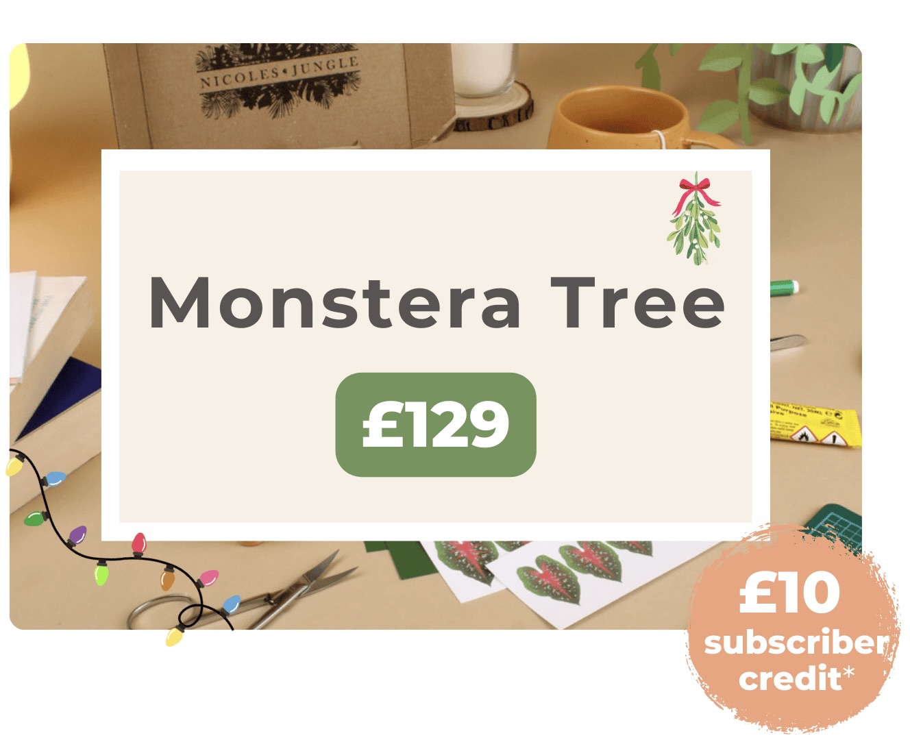 12-month paper plant subscription offer – £15/month Promotional banner for Nicole’s Jungle 12-month subscription offer showing a crafting scene with text that reads: ‘Prepay & Save – 12 Months – £15 / month – Save 50%’