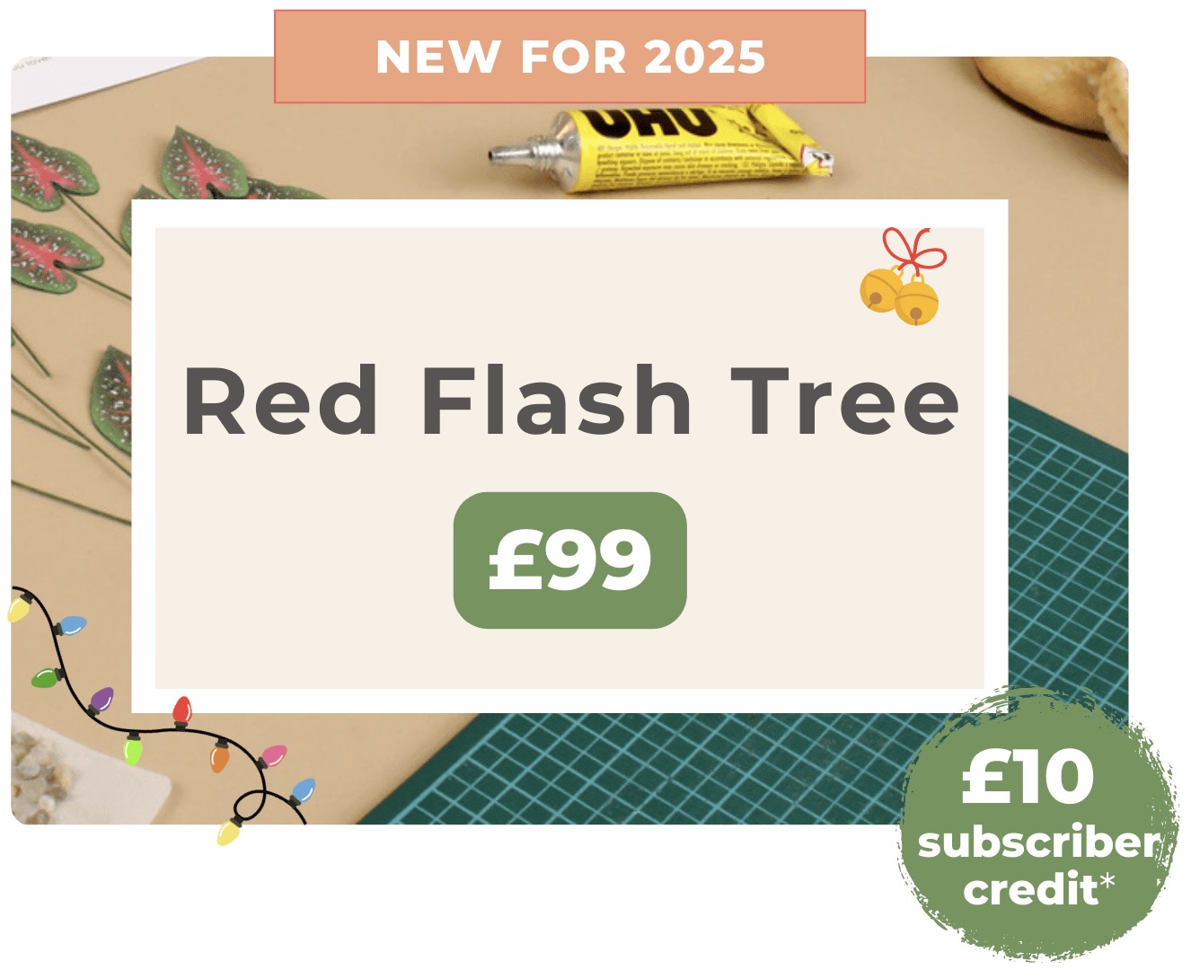 Most popular 12-month plan – £18/month Promotional graphic for Nicole’s Jungle 12-month subscription plan, labelled ‘Most Popular,’ with price £18 per month and a green sticker saying ‘Save 40%.’